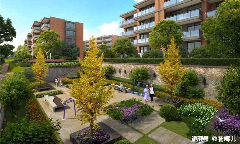 智慧養(yǎng)老怎么“養(yǎng)”?不要讓科技成為老年群體的束縛(圖2) 智慧養(yǎng)老怎么“養(yǎng)”?不要讓科技成為老年群體的束縛(圖2)